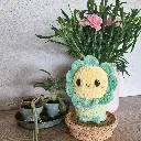 Les Po'tites fleurs